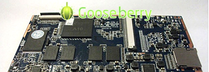gooseberry_680p